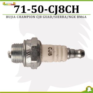 BUJIA CHAMPION CJ8 GUAD/ SIERRA /NGK BM6A