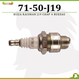 BUJIA RAISMAN J19 CHAP 4 RUED