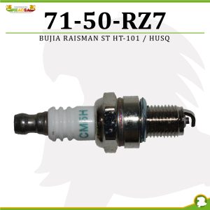 BUJIA RAISMAN ST HT-101 / HUSQ