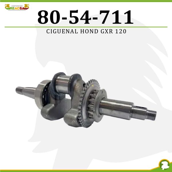 CIGUENAL HOND GXR 120